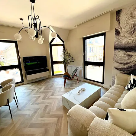Et Sauna Luxueux Hyper Centre Appartement Troyes
