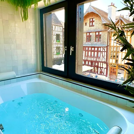 Et Sauna Luxueux Hyper Centre Avec Climatisation Parking Gratuit * Troyes