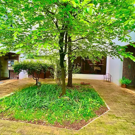 Apartman Et Sauna Luxueux Hyper Centre Avec Parking Gratuit *