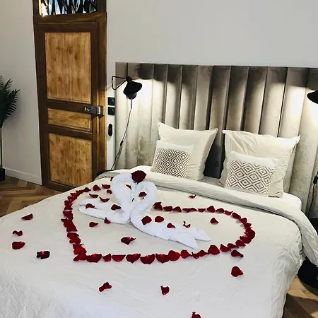 Lägenhet Et Sauna Luxueux Hyper Centre Avec Climatisation Parking Gratuit Troyes