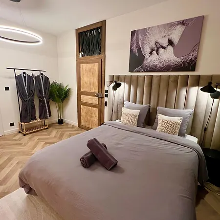 Et Sauna Luxueux Hyper Centre Avec Parking Gratuit Apartment