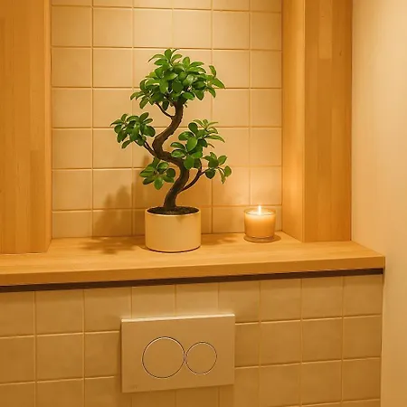Apartman Et Sauna Luxueux Hyper Centre Troyes