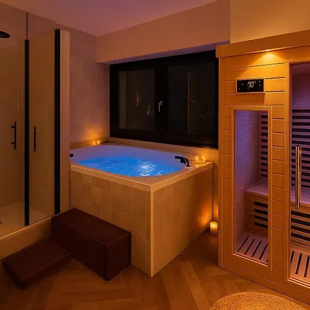 Et Sauna Luxueux Hyper Centre Avec Climatisation Parking Gratuit Troyes