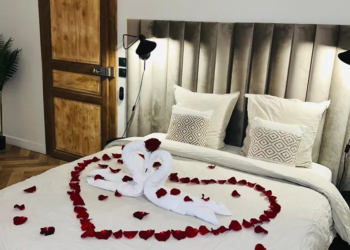 Apartman Et Sauna Luxueux Hyper Centre Avec Parking Gratuit Troyes