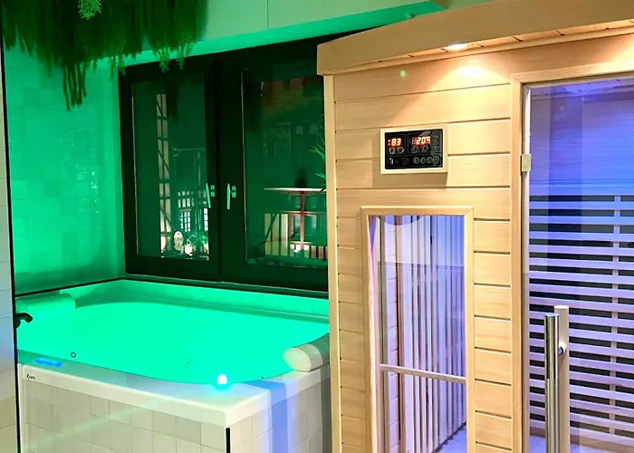Et Sauna Luxueux Hyper Centre Avec Parking Gratuit Troyes