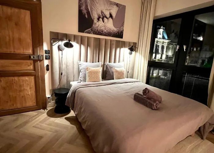 Et Sauna Luxueux Hyper Centre Avec Parking Gratuit Troyes