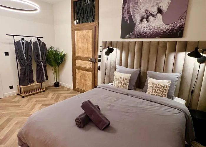 Et Sauna Luxueux Hyper Centre Avec Parking Apartment