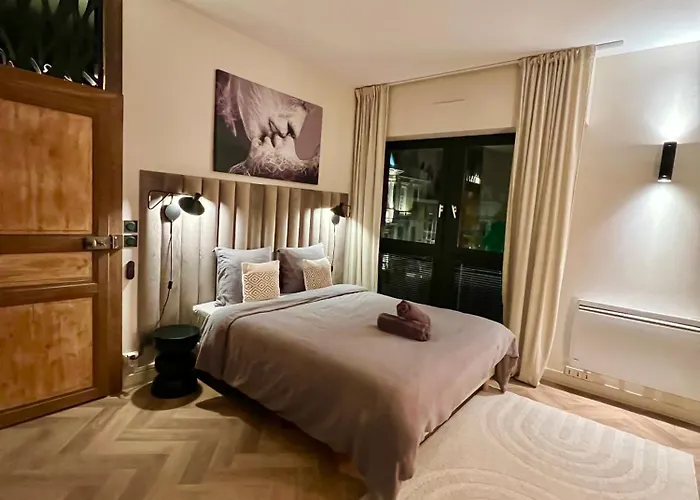 Et Sauna Luxueux Hyper Centre Avec Parking Gratuit Apartman Troyes