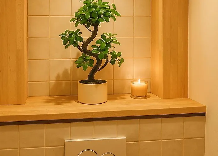 Apartman Et Sauna Luxueux Hyper Centre Avec Parking Gratuit Troyes